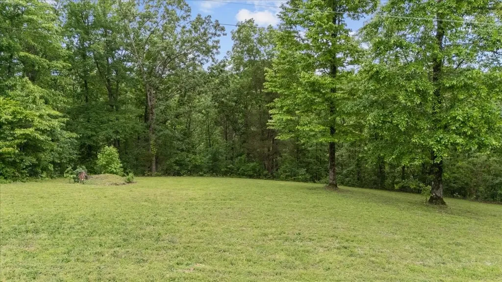0 Rustic Valley Drive Waverly TN 37185