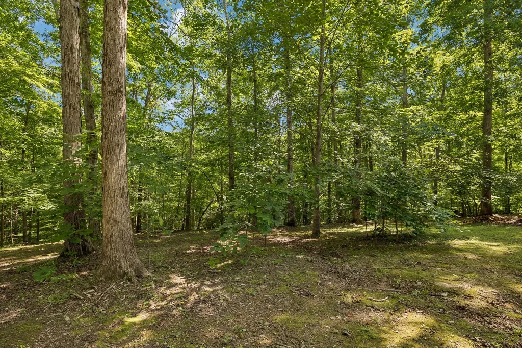 117 W Dell Road Dickson TN 37055
