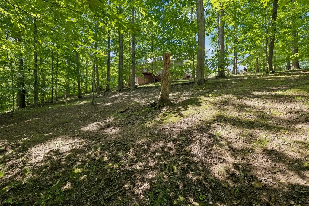 117 W Dell Road Dickson TN 37055