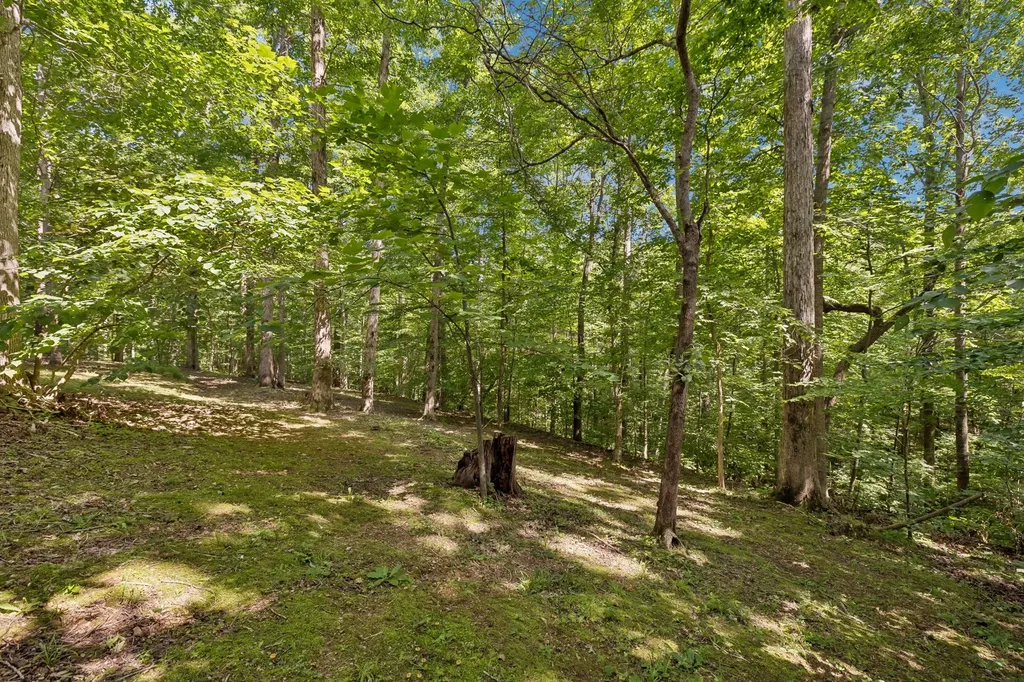 117 W Dell Road Dickson TN 37055