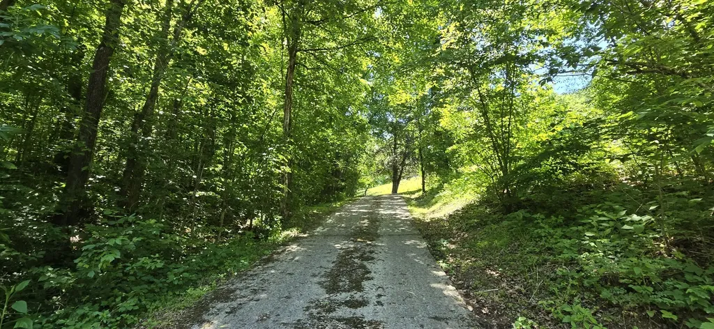 638 Mimosa Road Fayetteville TN 37334