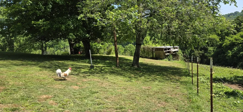 638 Mimosa Road Fayetteville TN 37334