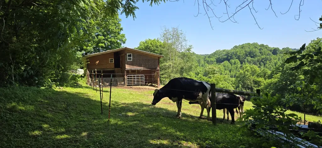 638 Mimosa Road Fayetteville TN 37334