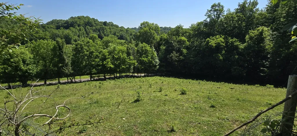 638 Mimosa Road Fayetteville TN 37334