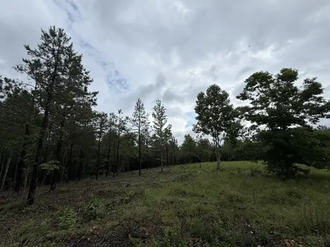 0 Old Mail Road Duck River TN 38454