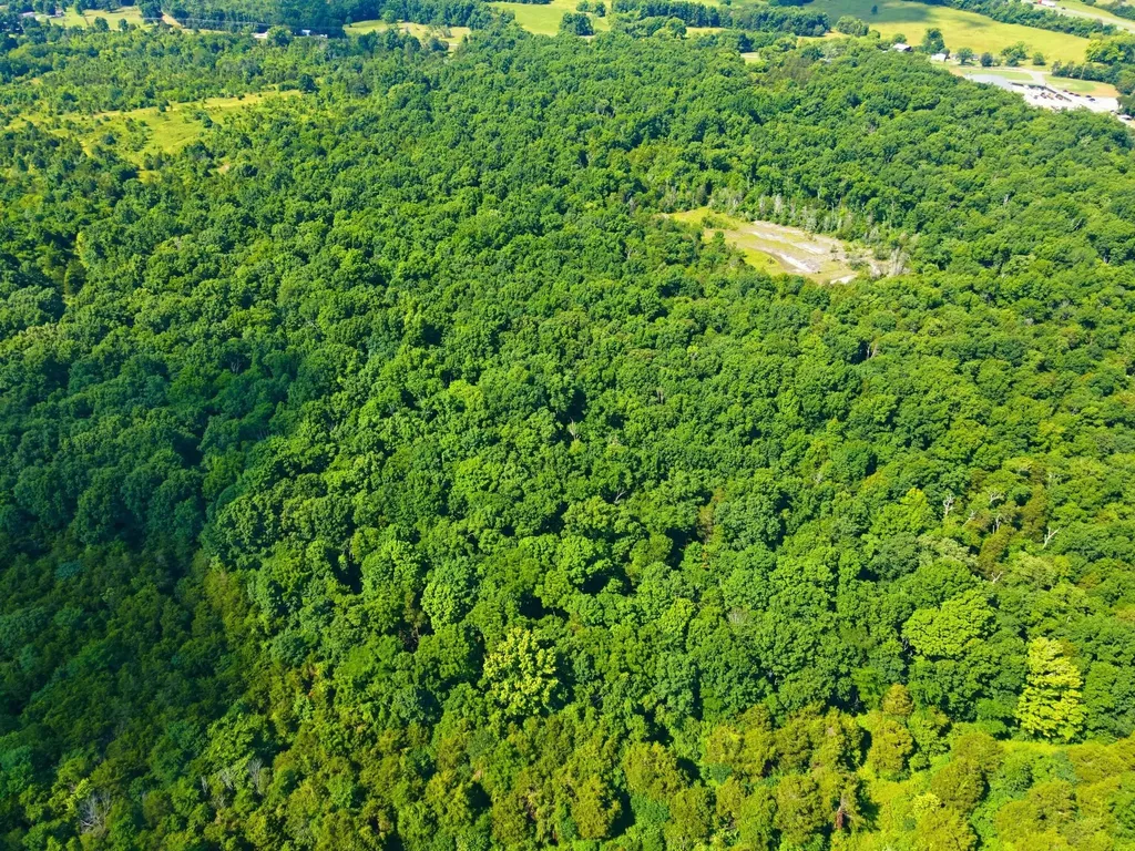 0 Kedron Road Spring Hill TN 37174