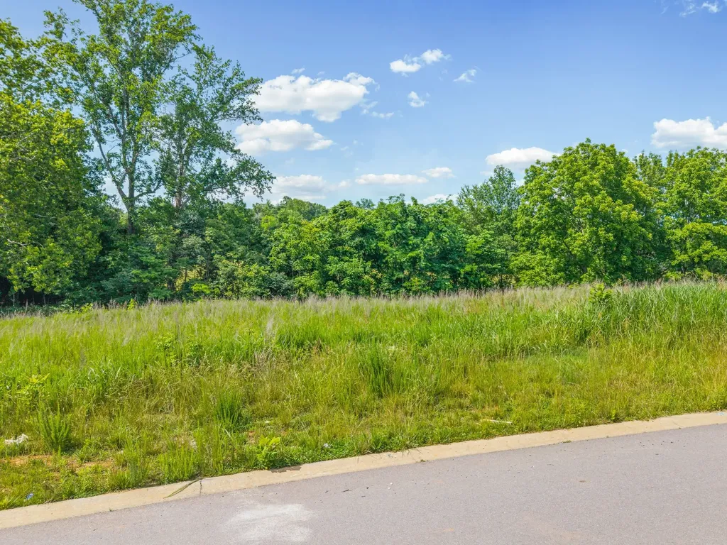 3036 Timberdale Drive Clarksville TN 37042