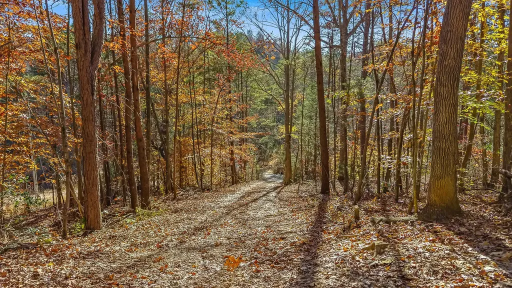 367 Cagle Road Tellico Plains TN 37385