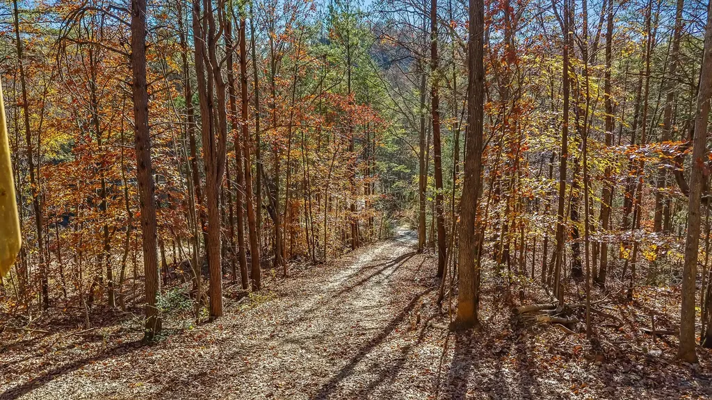 367 Cagle Road Tellico Plains TN 37385