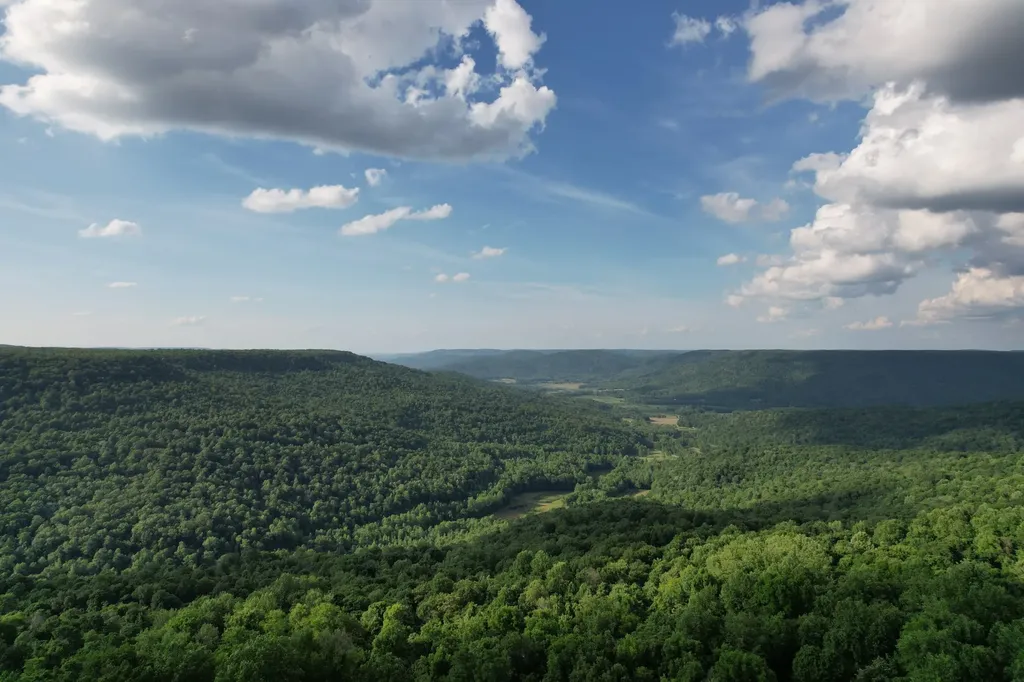309 Blackberry Road Beersheba Springs TN 37305