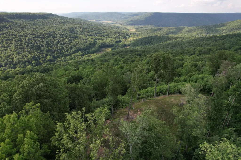 309 Blackberry Road Beersheba Springs TN 37305