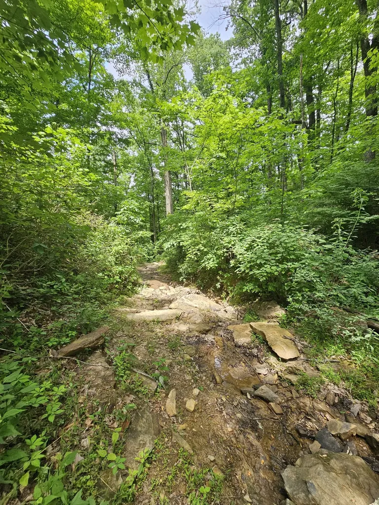309 Blackberry Road Beersheba Springs TN 37305