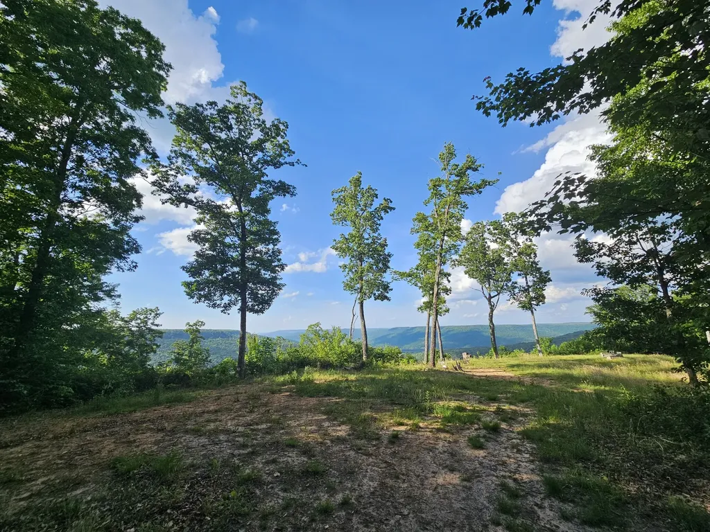 309 Blackberry Road Beersheba Springs TN 37305