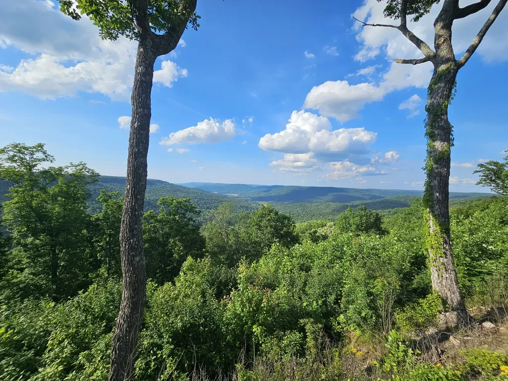 309 Blackberry Road Beersheba Springs TN 37305
