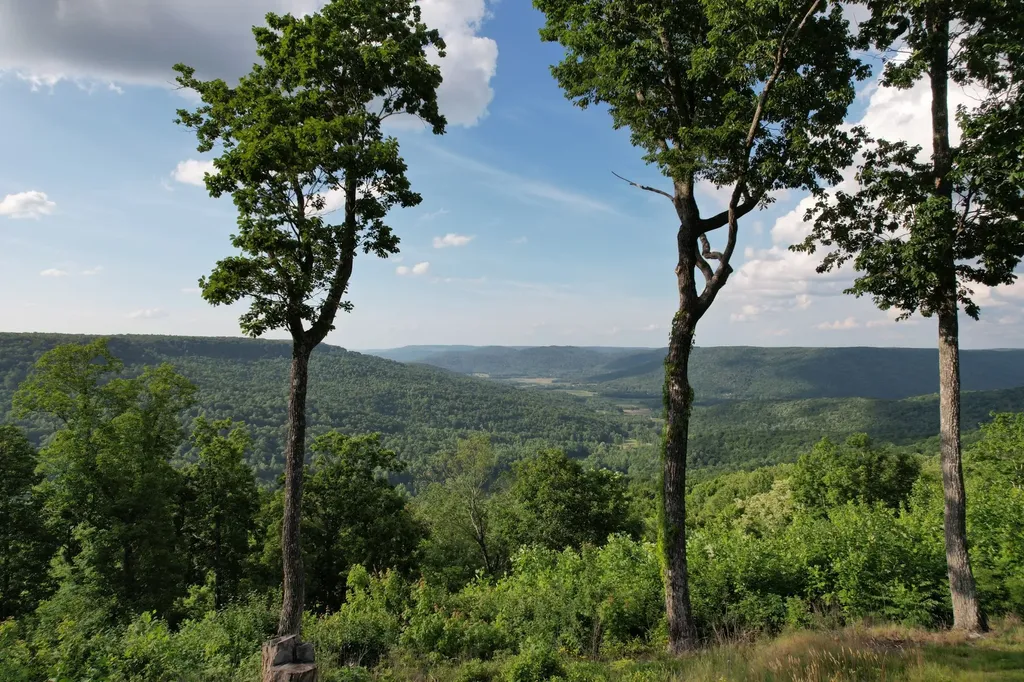 309 Blackberry Road Beersheba Springs TN 37305
