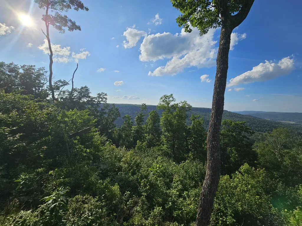 309 Blackberry Road Beersheba Springs TN 37305