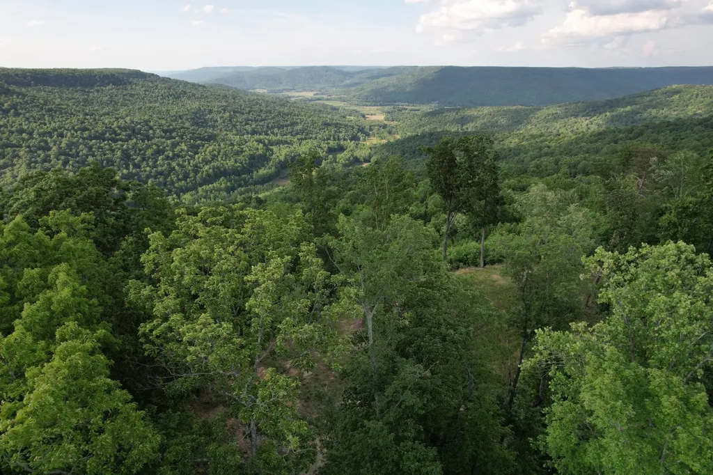309 Blackberry Road Beersheba Springs TN 37305