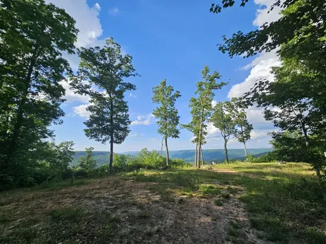 309 Blackberry Road Beersheba Springs TN 37305