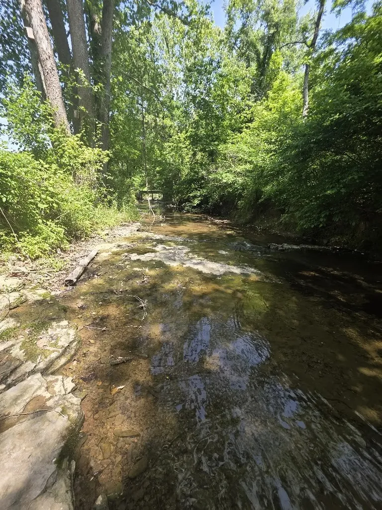 1310 Carney Winters Road Ashland City TN 37015