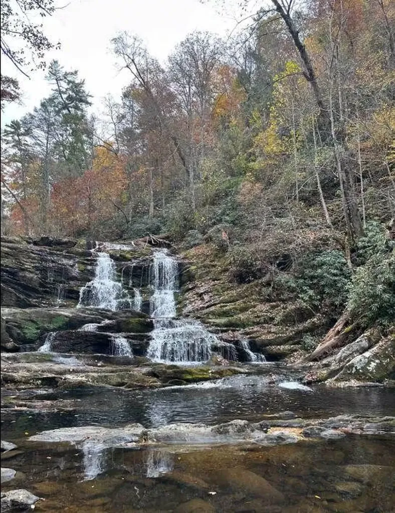 1522 Turkey Creek Road Tellico Plains TN 37385