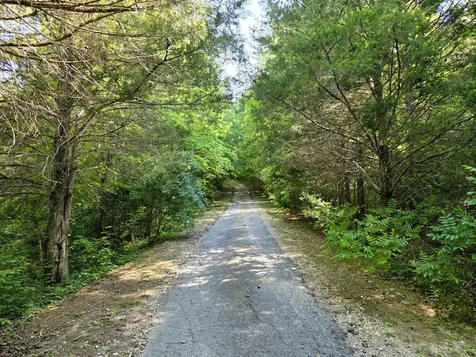 1975 Kelly Road Holladay TN 38341