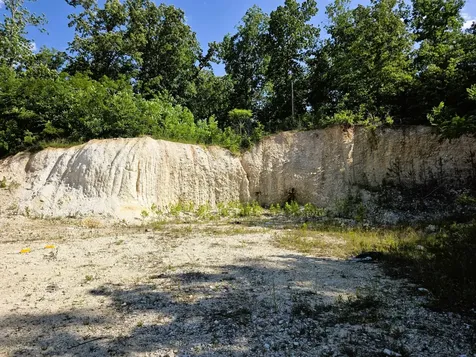 1975 Kelly Road Holladay TN 38341
