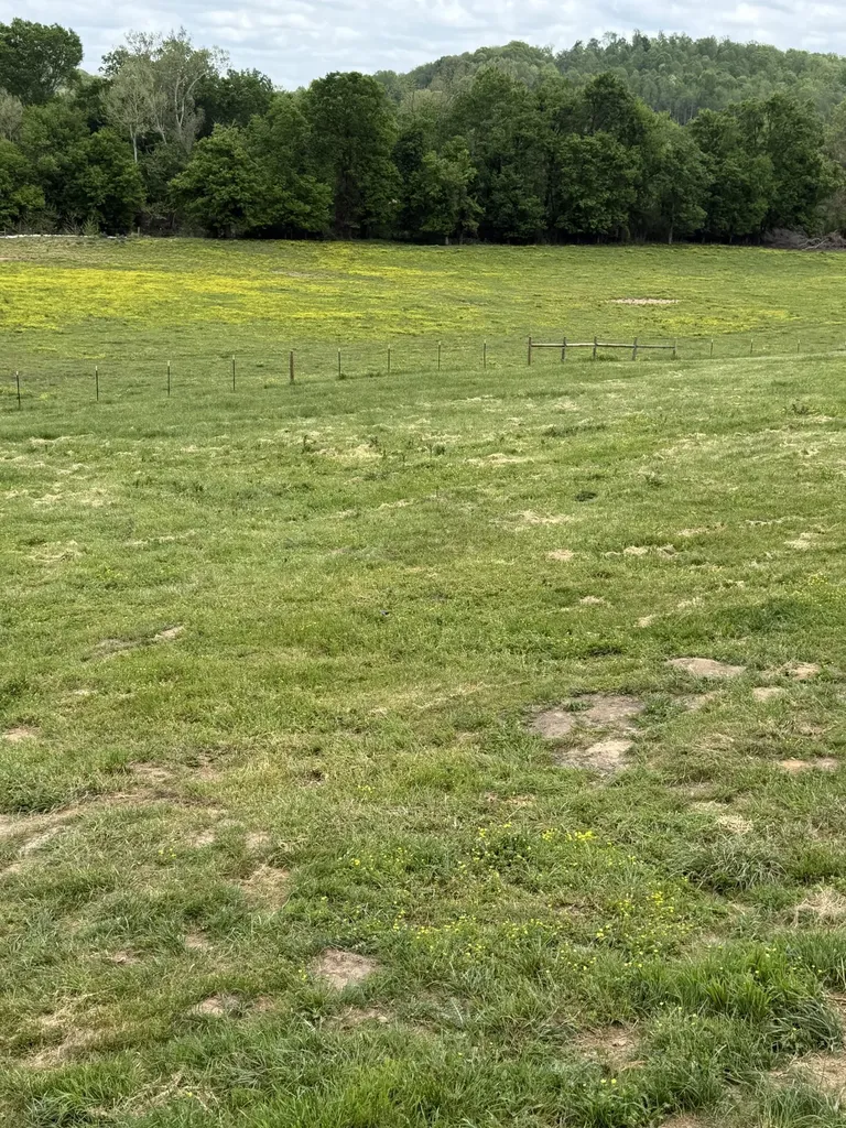 584 Buckeye Road Cumberland City TN 37050