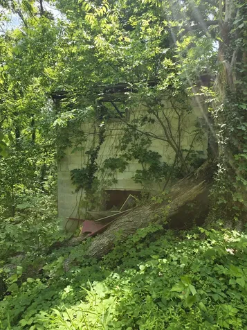 701 Stinson Road Bon Aqua TN 37025