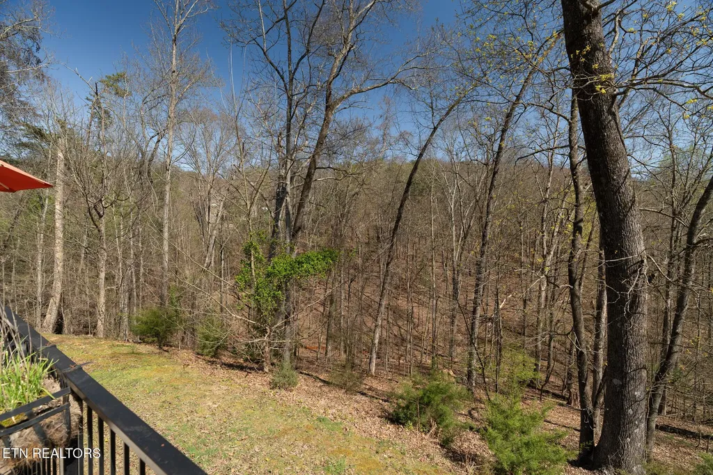 12624 Red Fox Drive Knoxville TN 37922