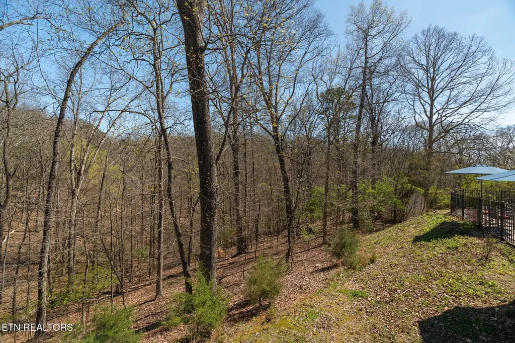 12624 Red Fox Drive Knoxville TN 37922