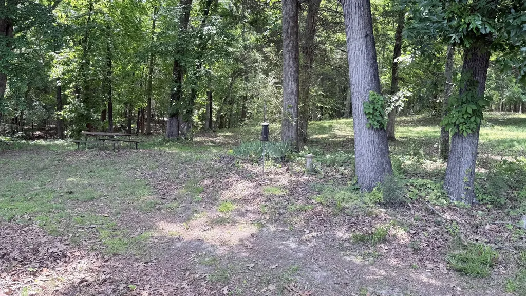 5260 New Cut Road Greenbrier TN 37073