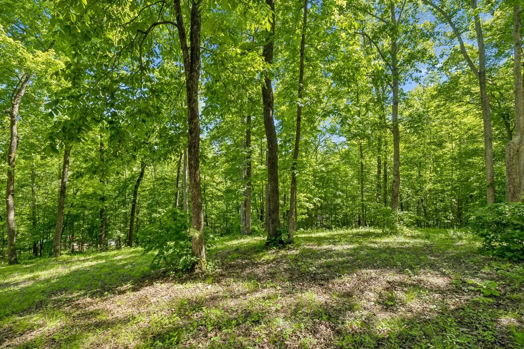 314 Ginger Drive Dover TN 37058