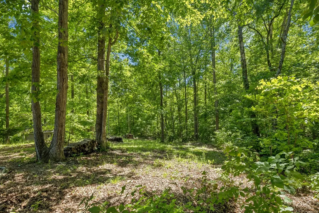 314 Ginger Drive Dover TN 37058