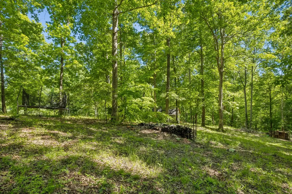 314 Ginger Drive Dover TN 37058