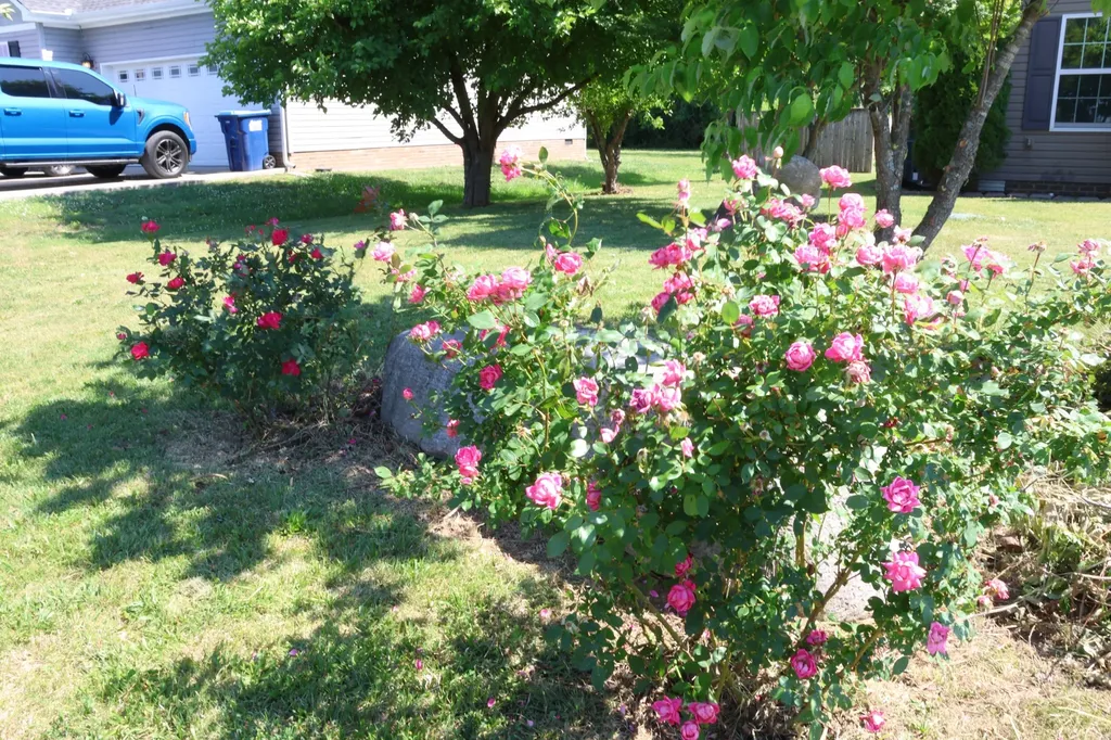 456 Heatherwood Drive Murfreesboro TN 37129
