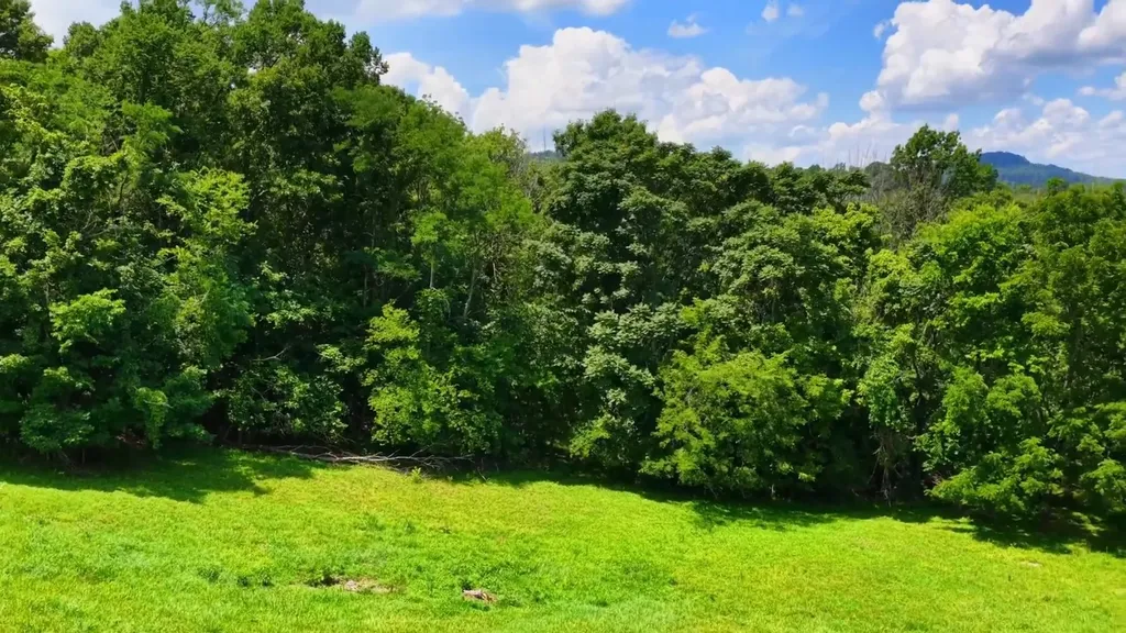 2015 Artesian Drive Nolensville TN 37135