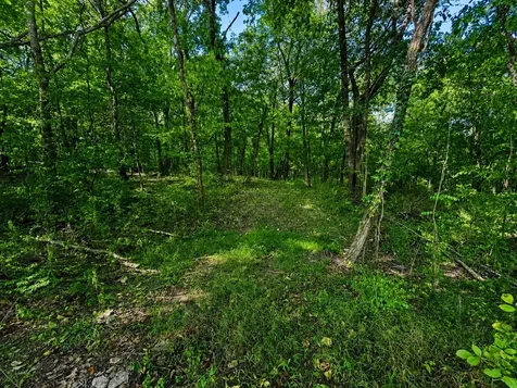 2015 Artesian Drive Nolensville TN 37135