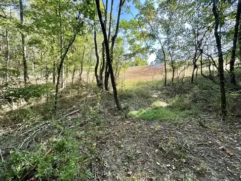 2015 Artesian Drive Nolensville TN 37135