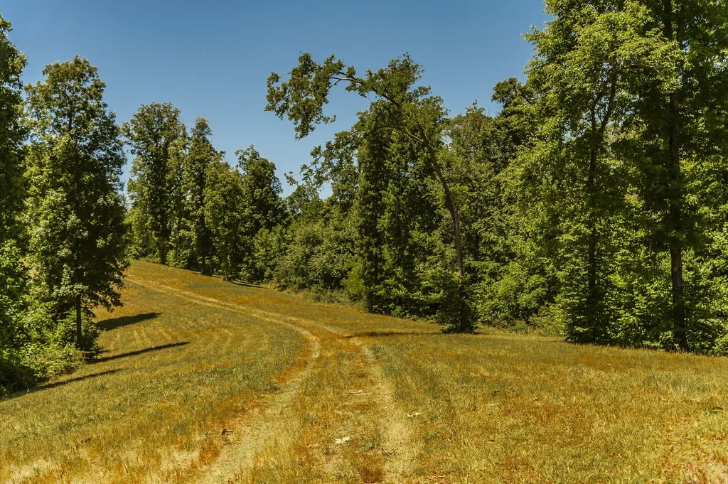 8388 Cub Creek Road Nashville TN 37209