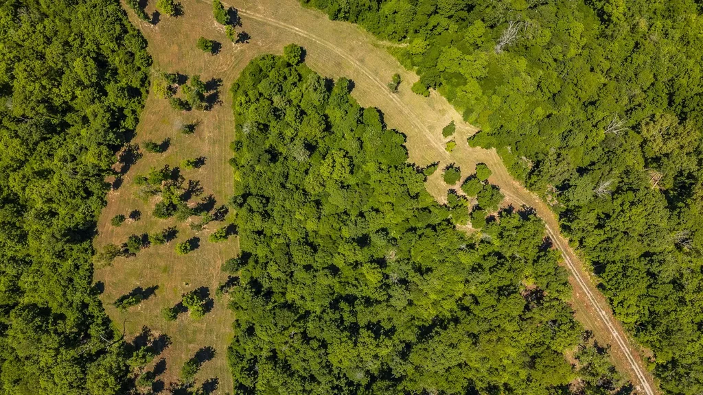 8388 Cub Creek Road Nashville TN 37209