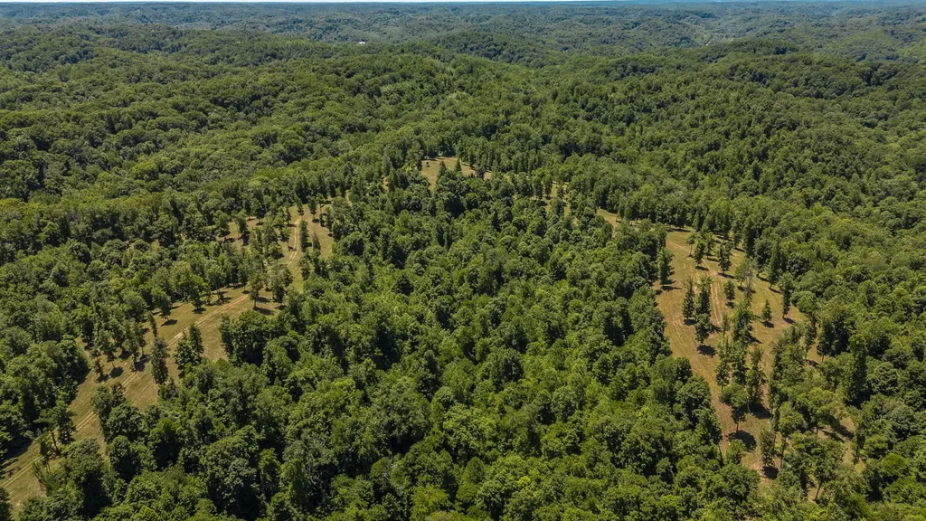 8388 Cub Creek Road Nashville TN 37209
