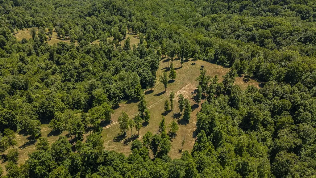 8388 Cub Creek Road Nashville TN 37209