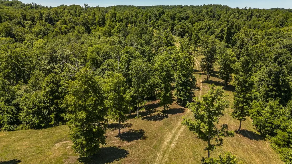8388 Cub Creek Road Nashville TN 37209