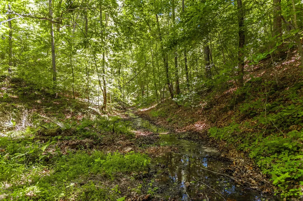 8388 Cub Creek Road Nashville TN 37209