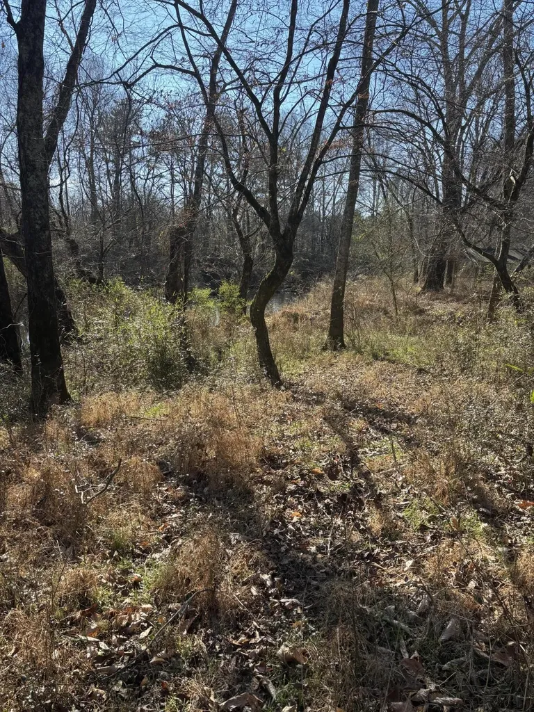 23480 U.s. 127 Dunlap TN 37327