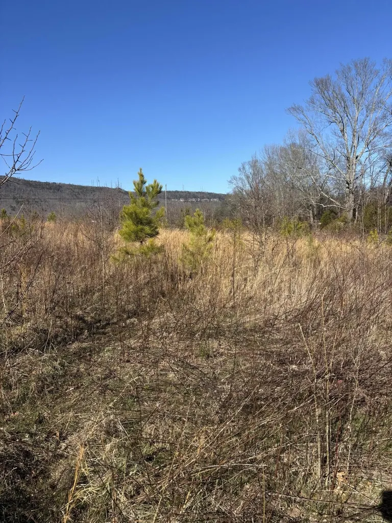 23480 U.s. 127 Dunlap TN 37327