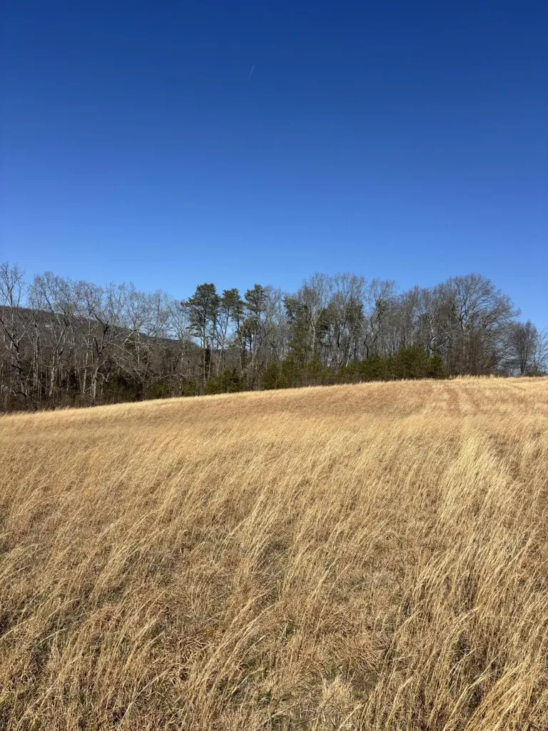 23480 U.s. 127 Dunlap TN 37327
