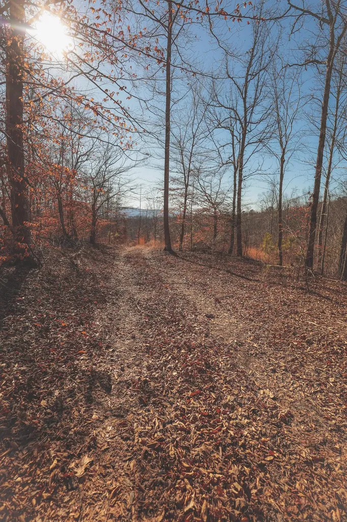 3229 Old State Highway 28 Dunlap TN 37327