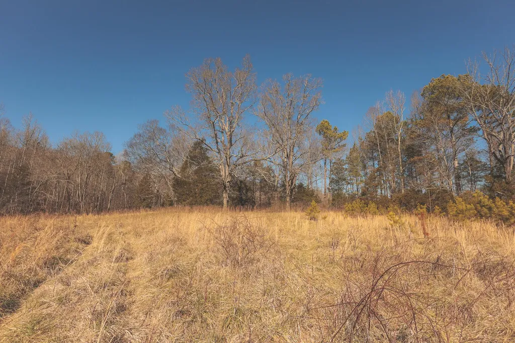 3229 Old State Highway 28 Dunlap TN 37327