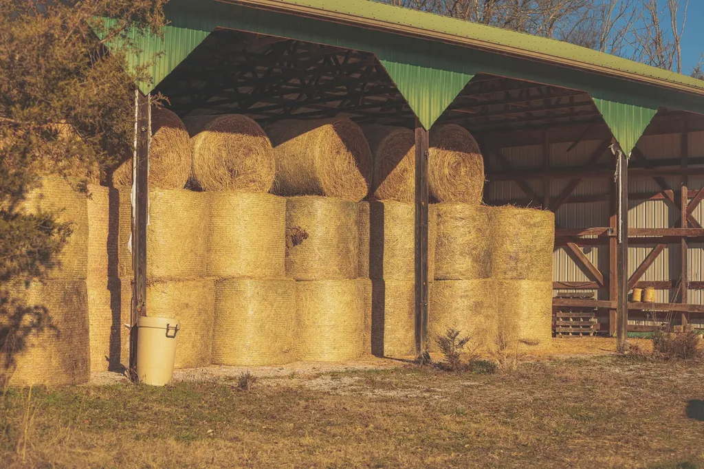 3229 Old State Highway 28 Dunlap TN 37327